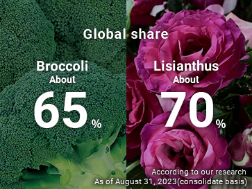 Global share: Broccoli 65%,Lisianthus 70%. As of May 31, 2021(consolidate basis)