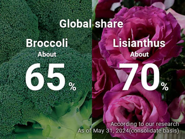 Global share: Broccoli 65%,Lisianthus 70%. According to our research,As of August 31, 2023(consolidate basis)