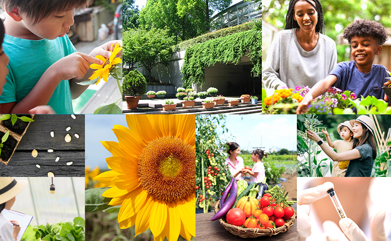 SAKATA Group s Global Brand Website