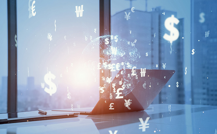 SAKATA Group s Global Brand Website