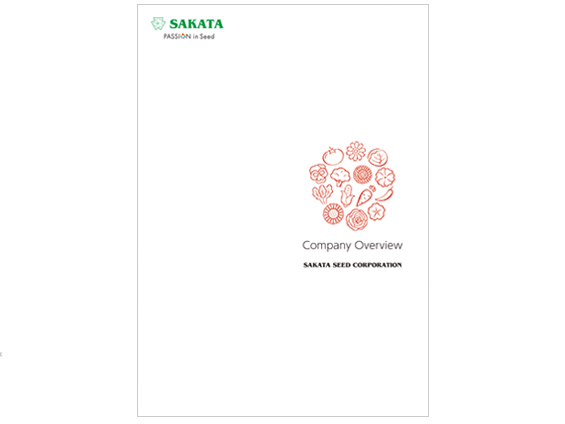 Brochure images of company overview