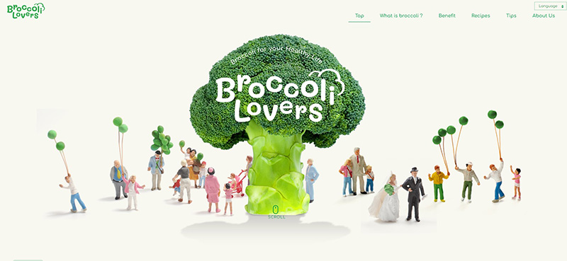 https://broccolilovers.com