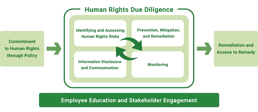 Diagram of the human rights due diligence process. Based on employee education and stakeholder engagement, the cycle progresses from commitment through the human rights policy to due diligence, leading to remedy.